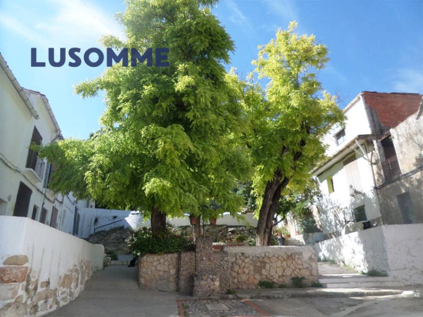 Descripción 501 - Sin comisión inmobiliaria.
Casa adosada en venta en Carrer Les Santes, Xàtiva.

Vivienda para actualizar construida en 1900.

157 m�