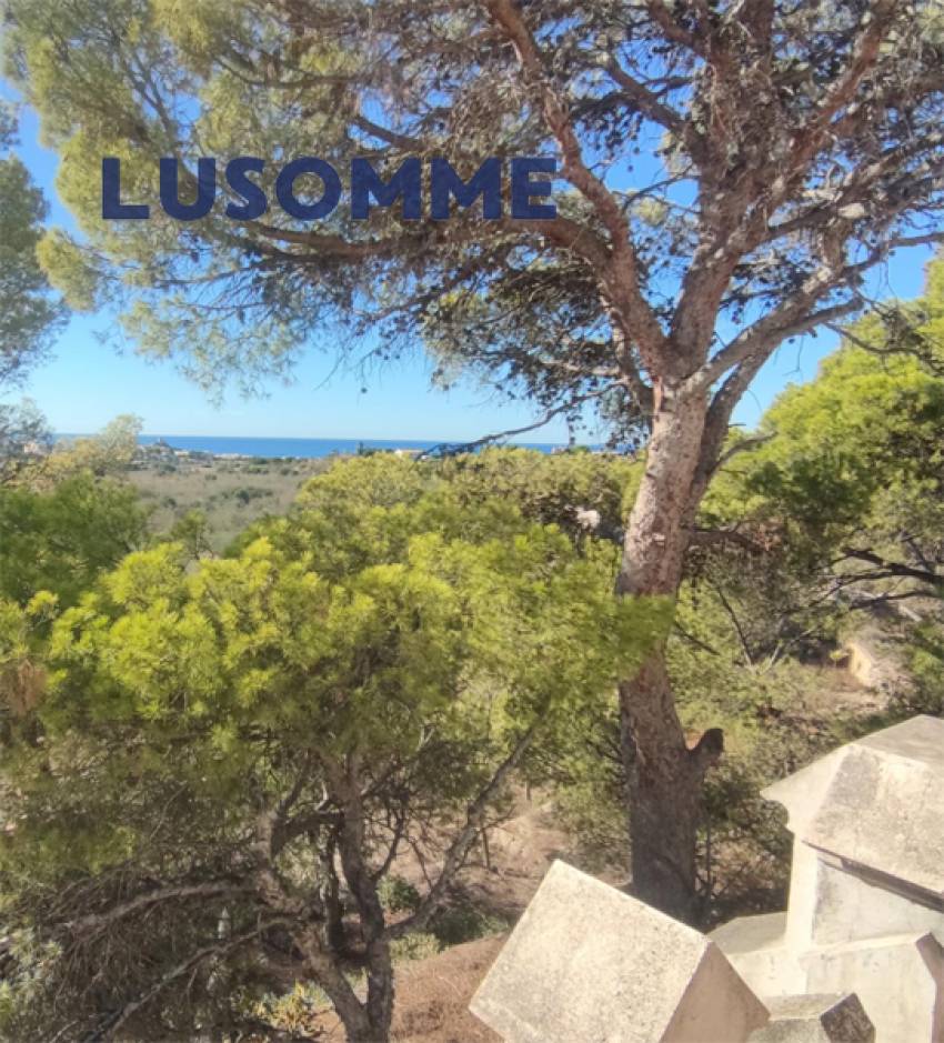 Descripción 451 - Sin comisión inmobiliaria.

Singular Palacete del Siglo XIX en La Villajoiosa, con 87.000 m² de parcela con plantación de cítricos y 