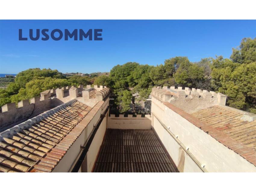 Descripción 451 - Sin comisión inmobiliaria.

Singular Palacete del Siglo XIX en La Villajoiosa, con 87.000 m² de parcela con plantación de cítricos y 