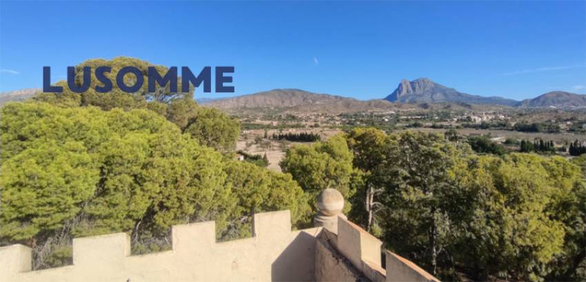 Descripción 451 - Sin comisión inmobiliaria.

Singular Palacete del Siglo XIX en La Villajoiosa, con 87.000 m² de parcela con plantación de cítricos y 